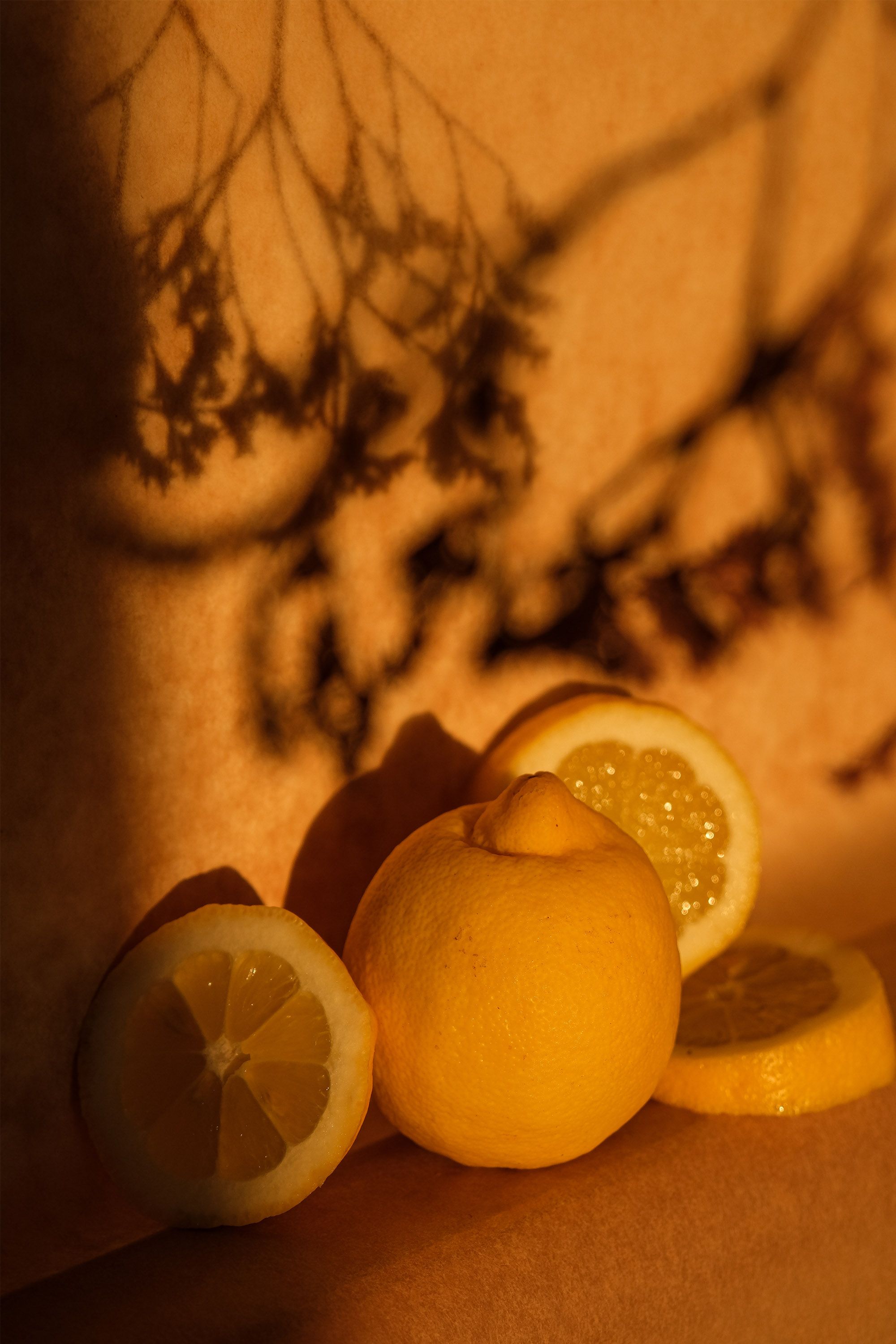 stylized lemons food photography